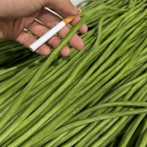 云南精品细条豇豆长豆角大量上市任何包装欢迎对接合作
