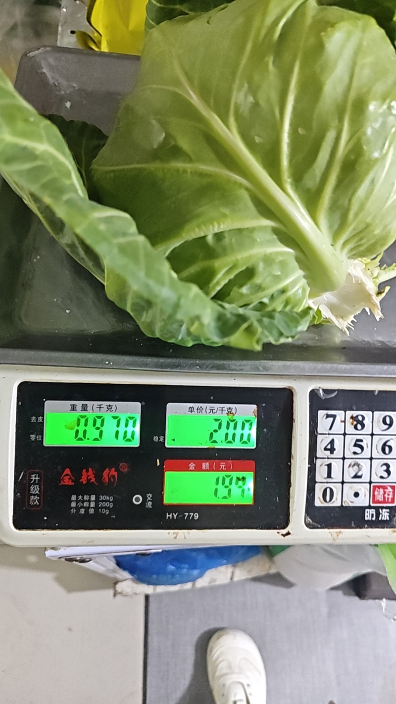 软甘蓝，二斤左右