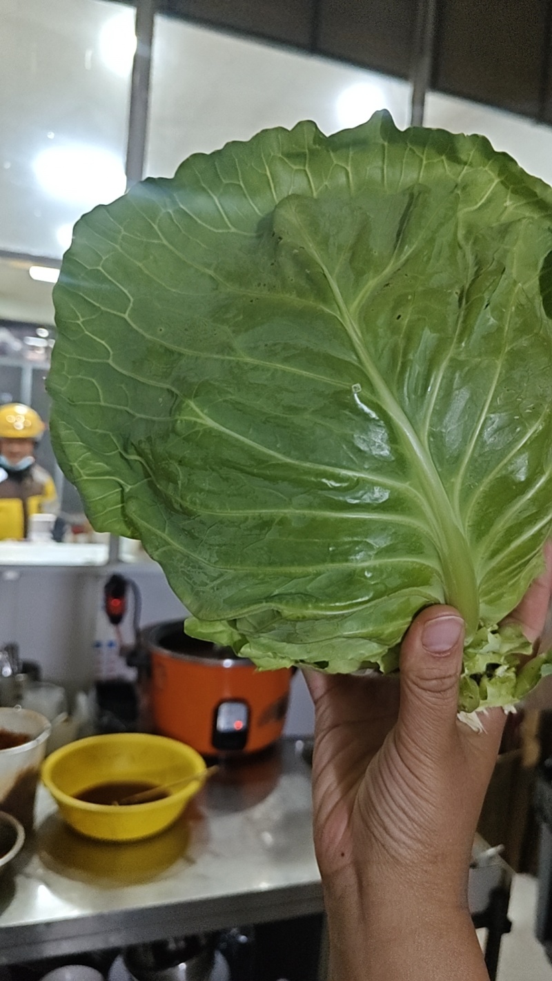 软甘蓝，二斤左右