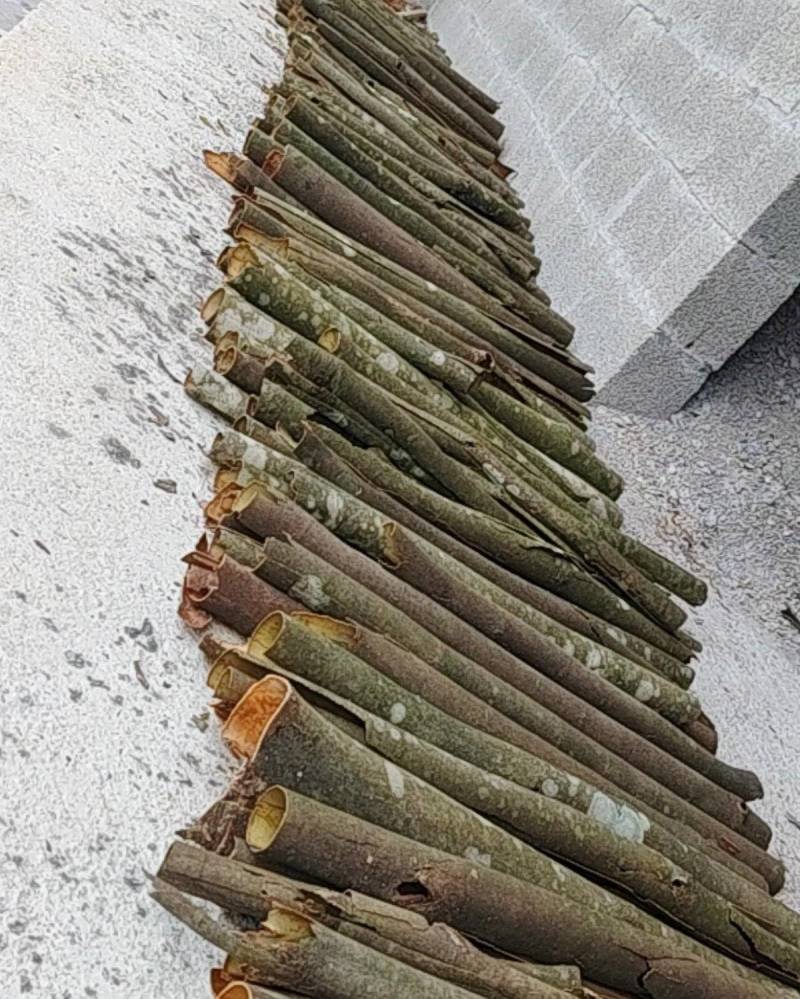 湖北恩施大山野生桂皮，