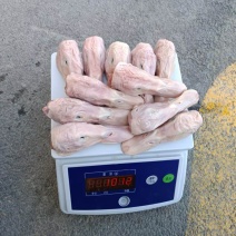 白条鸭头