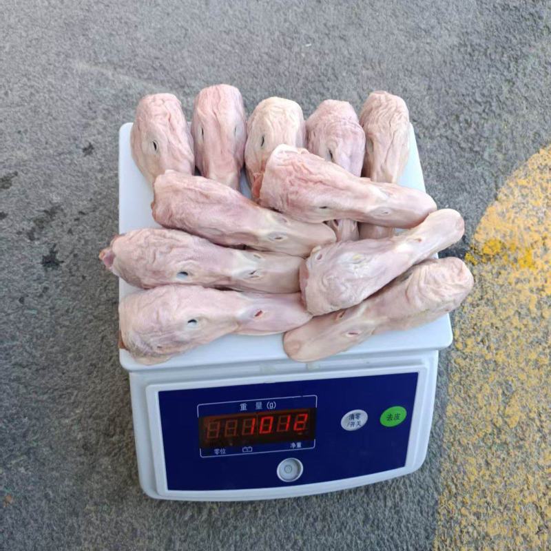 白条鸭头