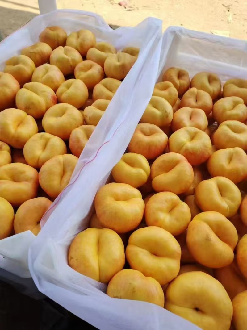 油潘7大量上市