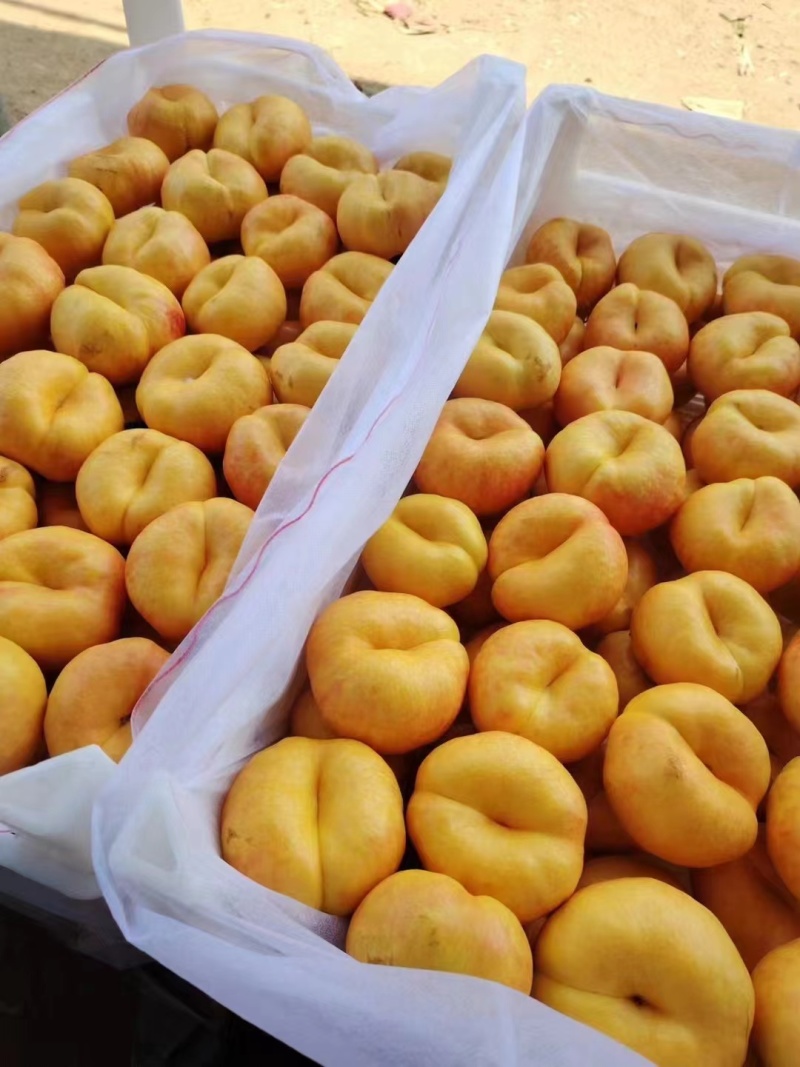 油潘7大量上市