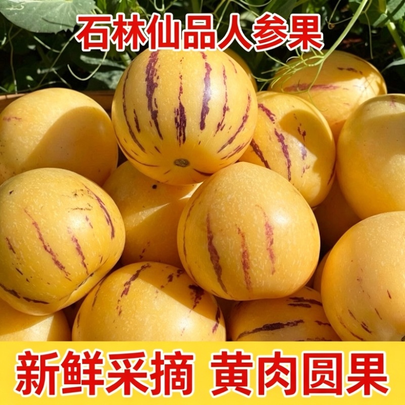 云南石林人参果