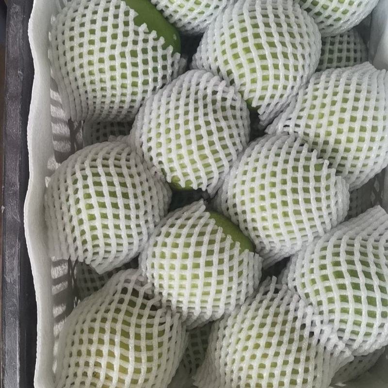 安徽砀山产区精品518翠冠。夏御大量有货产地装车。需要的