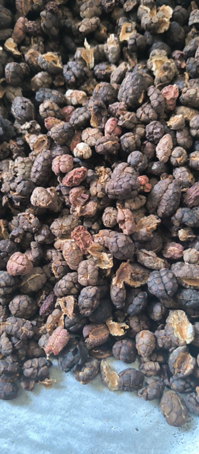 砂仁阳春砂仁壳砂仁中药材批发砂仁质量保证量大从优