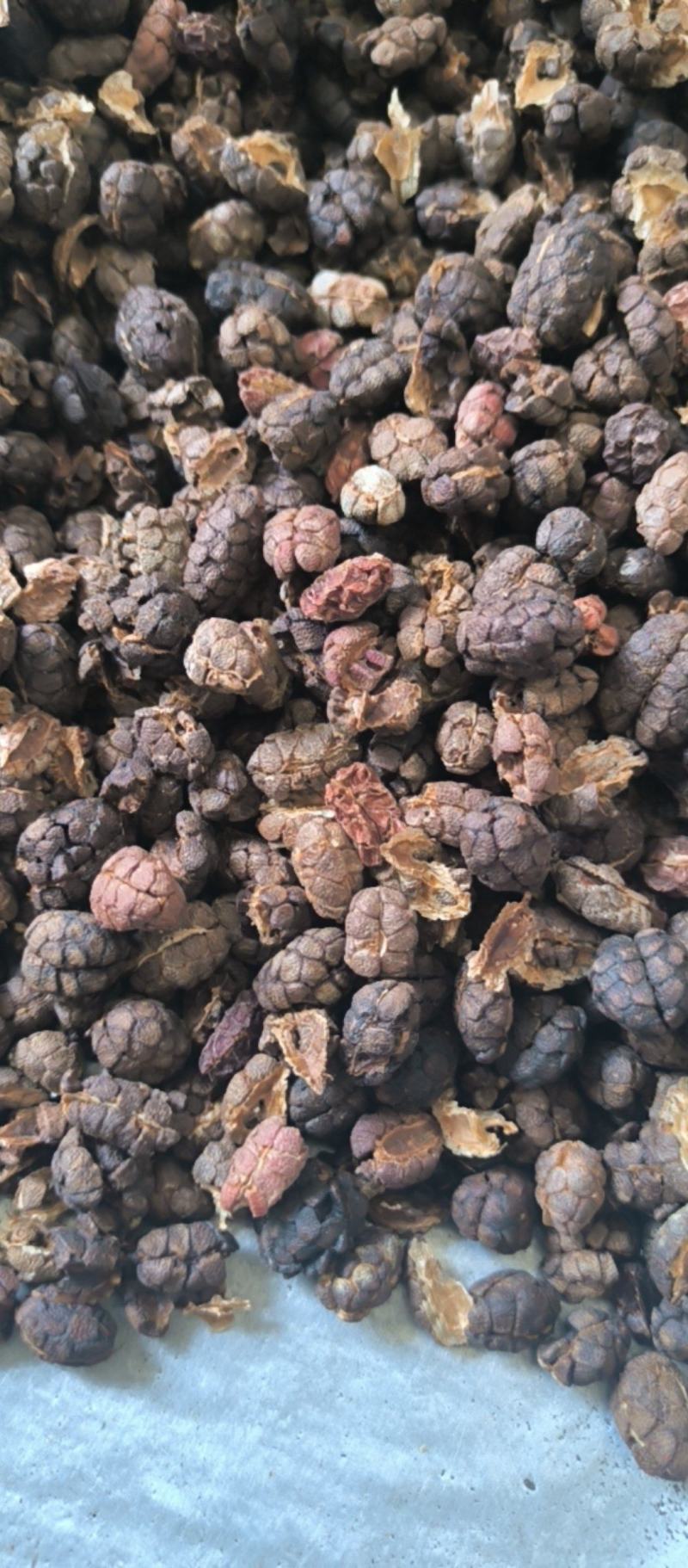 砂仁阳春砂仁壳砂仁中药材批发砂仁质量保证量大从优