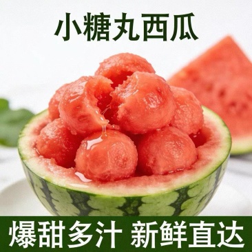 【热卖】辽宁西瓜小糖丸西瓜小吊瓜产地直发货源充足欢迎下单