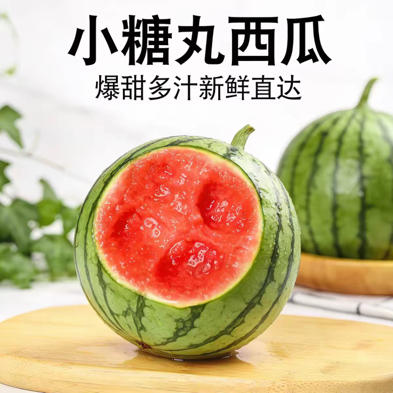 【热卖】辽宁西瓜小糖丸西瓜小吊瓜产地直发货源充足欢迎下单