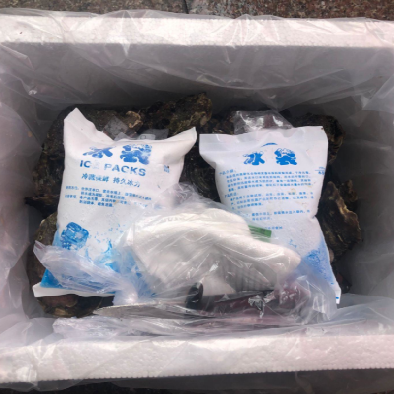 湛江生蚝精选带壳海水生蚝鲜活大牡蛎海鲜现捞肉质饱满90斤