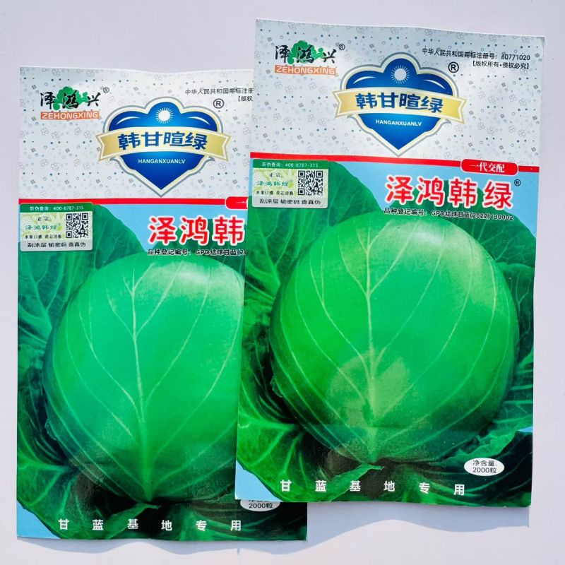 泽鸿韩绿水果甘蓝种子早熟黄芯松软甘甜圆球包菜种籽耐裂大田
