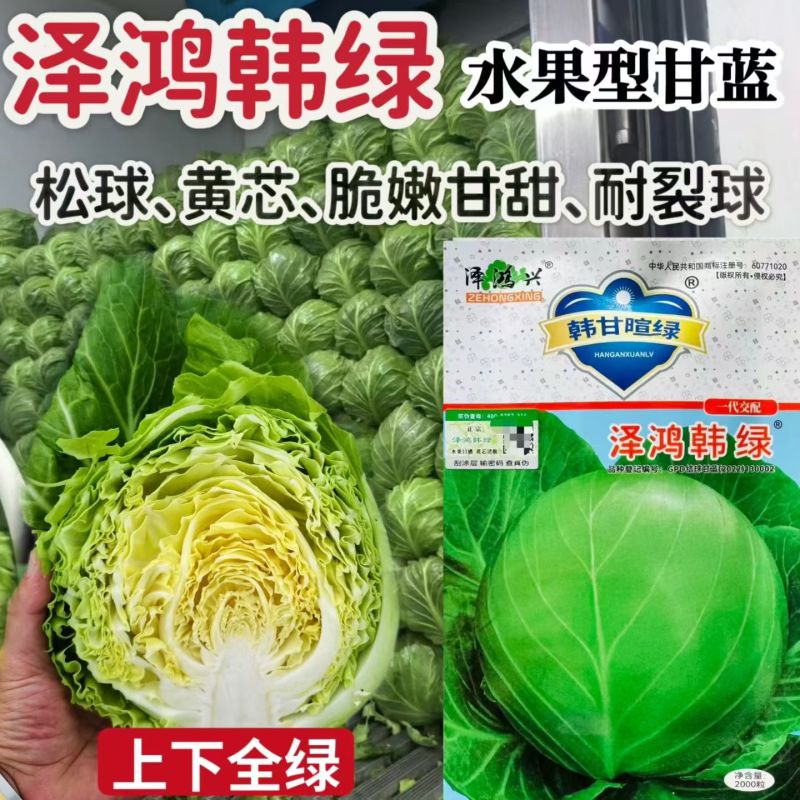 泽鸿韩绿水果甘蓝种子早熟黄芯松软甘甜圆球包菜种籽耐裂大田