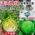 泽鸿韩绿水果甘蓝种子早熟黄芯松软甘甜圆球包菜种籽耐裂大田