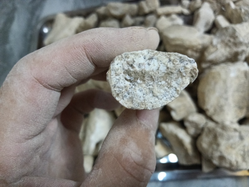 道地药材龙骨！内蒙货