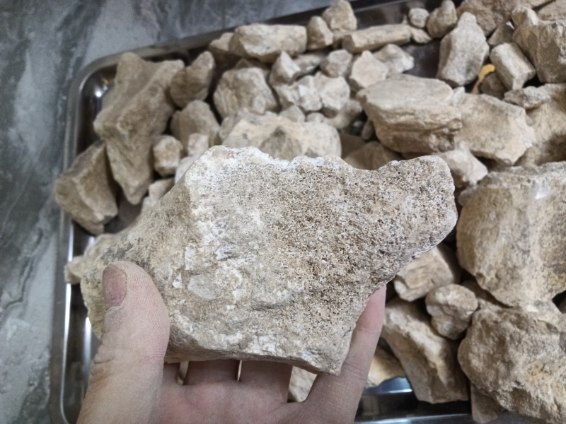 道地药材龙骨！内蒙货