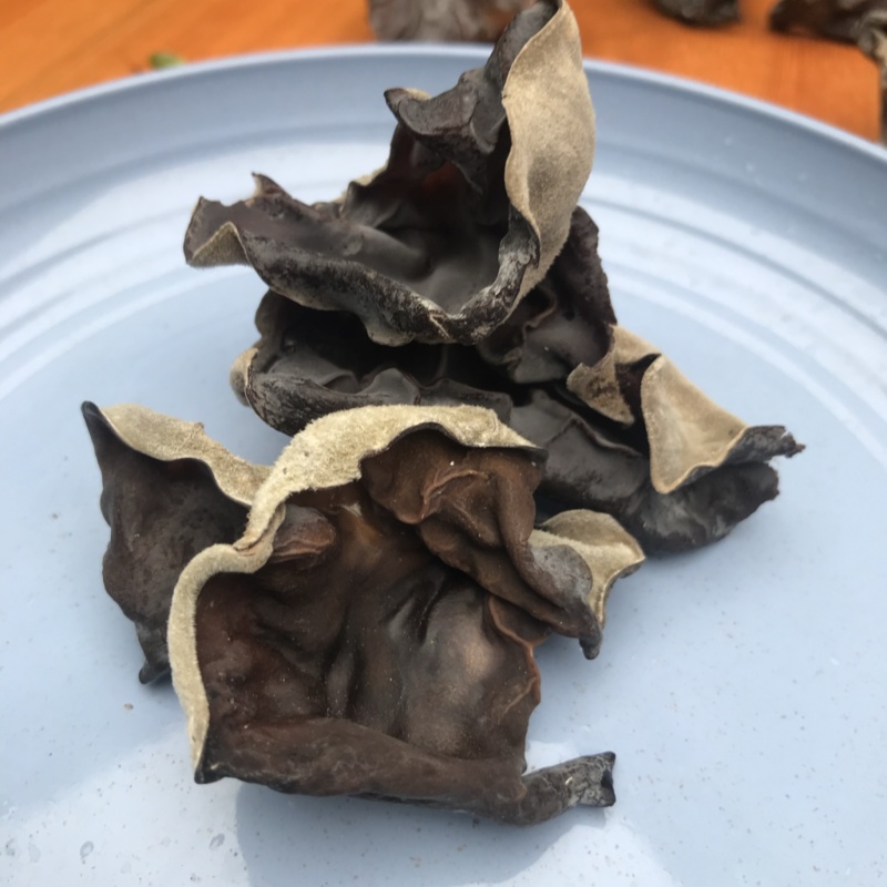 毛木耳白背毛木耳二茬毛木耳脆木耳电商木耳