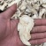 包邮甘肃特级全当归头片泡水煲汤非野生岷县新货散装量大优惠