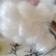 曹县农家纯绿豆粉丝整件批发火锅麻辣烫花甲扇贝餐饮专用