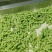 山东翠绿宝鲜食毛豆大荚高产新鲜采摘果蔬批发市场一手货源