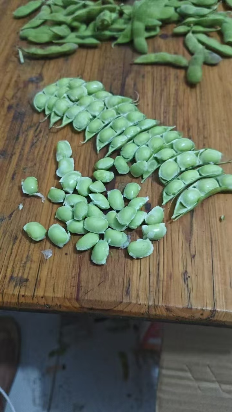 山东翠绿宝鲜食毛豆大荚高产新鲜采摘果蔬批发市场一手货源