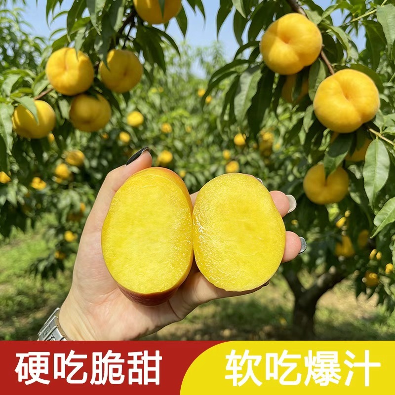 黄金蟠桃