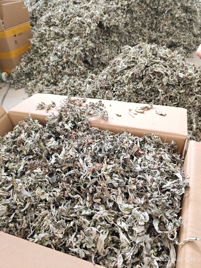 艾叶艾叶干货大叶艾草高山野生艾纯叶杆少产地直发