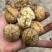 大凉山新鲜核桃青皮去皮电商一件代发市场商超