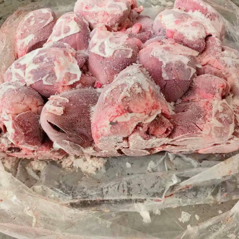 猪心