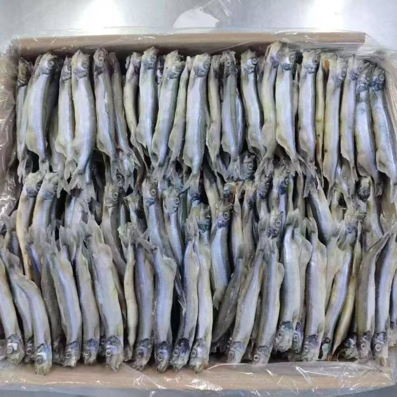 满籽多春鱼新鲜多籽鱼冷冻带籽海鲜烧烤油炸海鱼食材冰鲜批发实惠