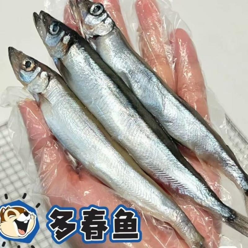 满籽多春鱼新鲜多籽鱼冷冻带籽海鲜烧烤油炸海鱼食材冰鲜批发实惠