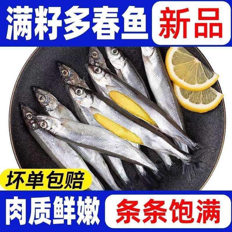 满籽多春鱼新鲜多籽鱼冷冻带籽海鲜烧烤油炸海鱼食材冰鲜批发实惠