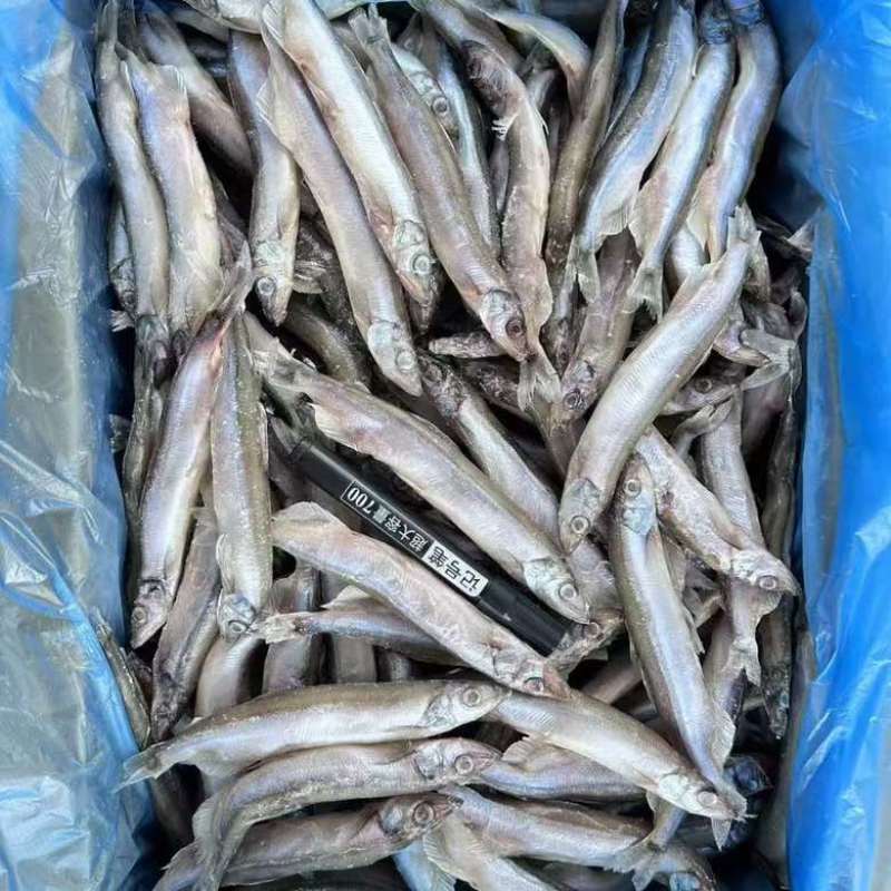 满籽多春鱼新鲜多籽鱼冷冻带籽海鲜烧烤油炸海鱼食材冰鲜批发实惠