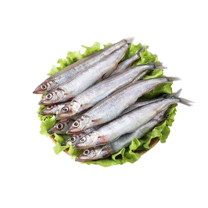 满籽多春鱼新鲜多籽鱼冷冻带籽海鲜烧烤油炸海鱼食材冰鲜批发实惠