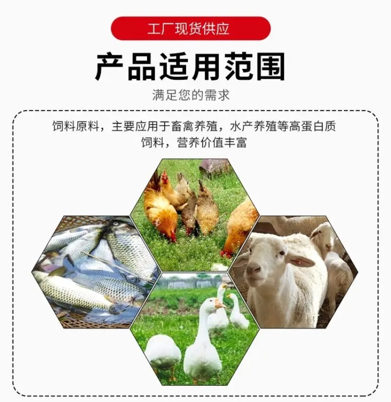 醋糟粉菌渣粉糖渣粉酒糟粉发酵干白酒糟粉饲料原料