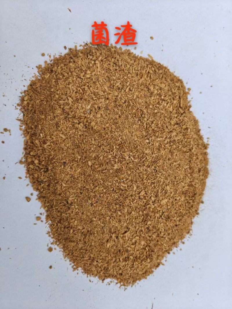 醋糟粉菌渣粉糖渣粉酒糟粉发酵干白酒糟粉饲料原料