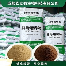 醋糟粉菌渣粉糖渣粉酒糟粉发酵干白酒糟粉饲料原料