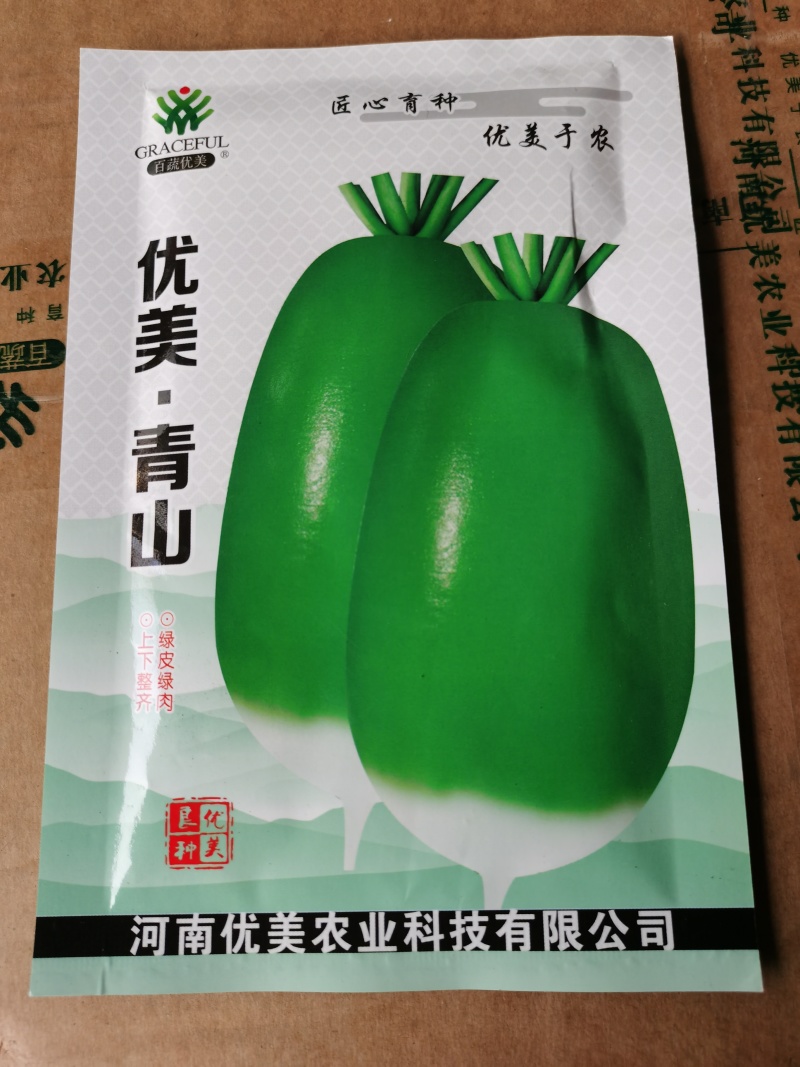 优美青亮绿脆青萝卜种子青皮淡绿肉萝卜口感好