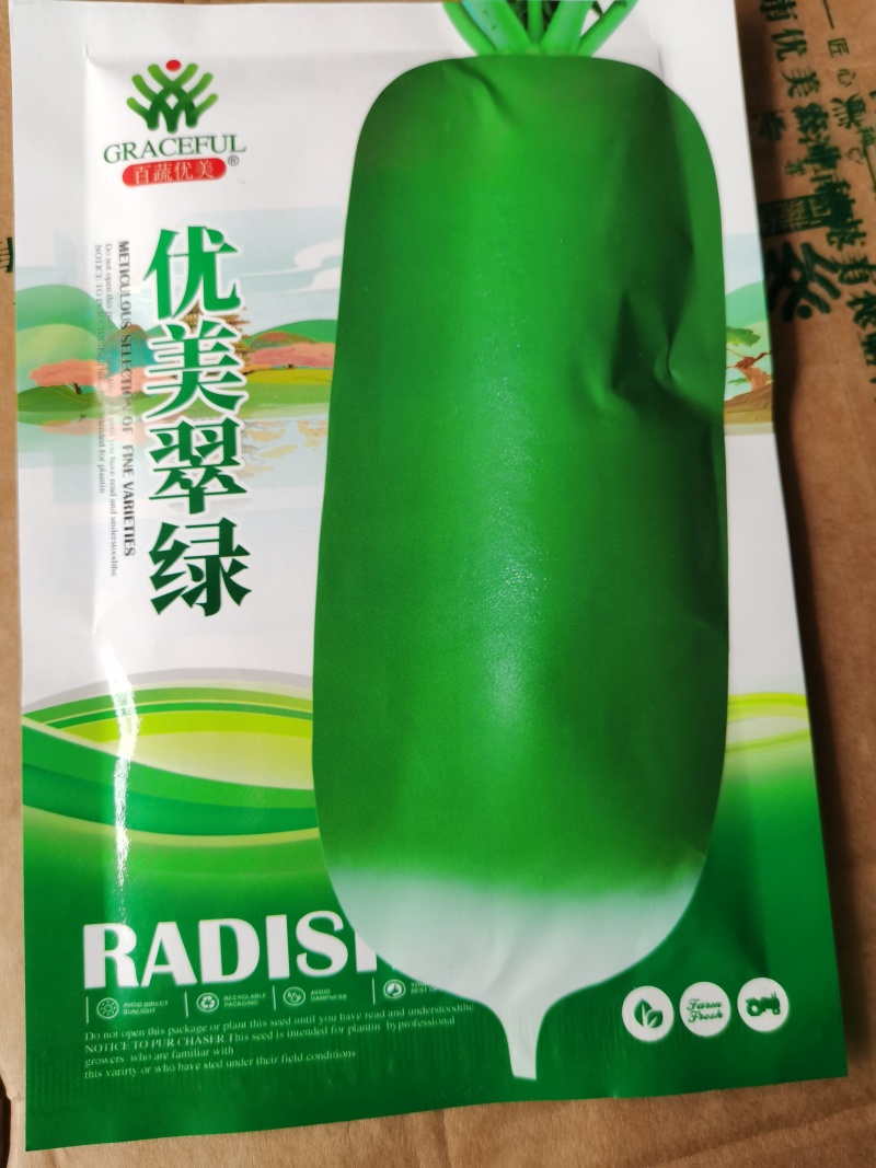 优美青亮绿脆青萝卜种子青皮淡绿肉萝卜口感好