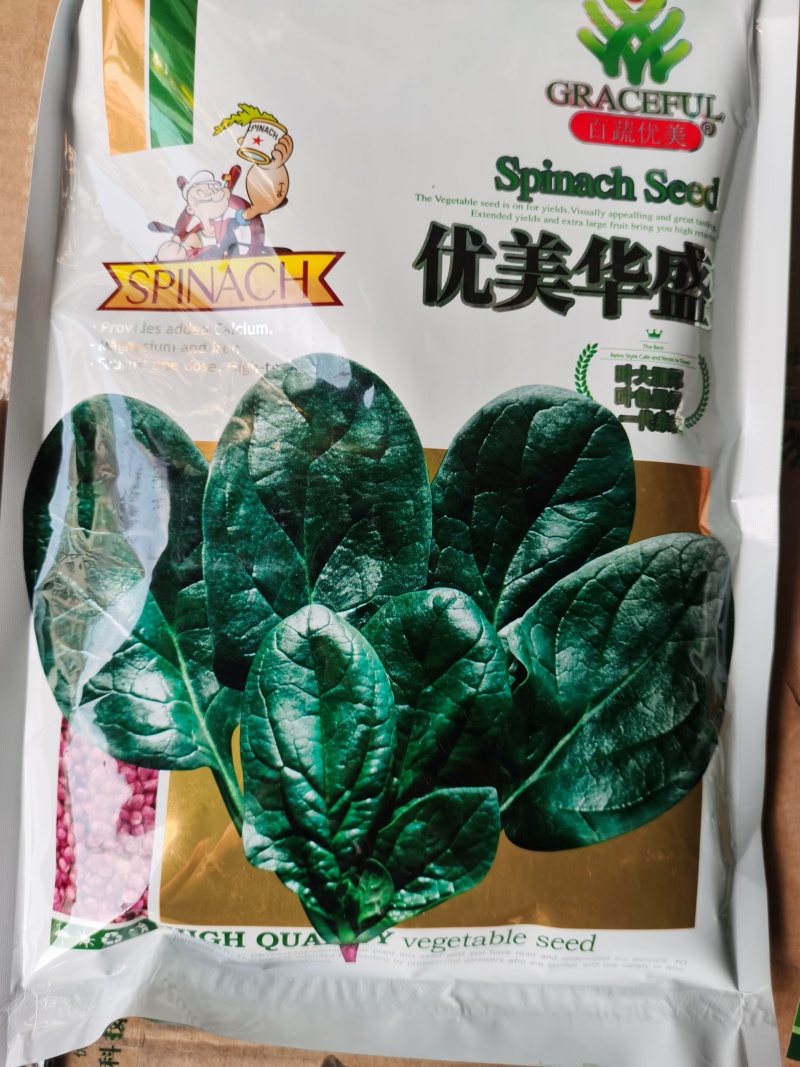 优美格兰特华盛F1菠菜种子墨绿叶抗病丰产优质耐贮