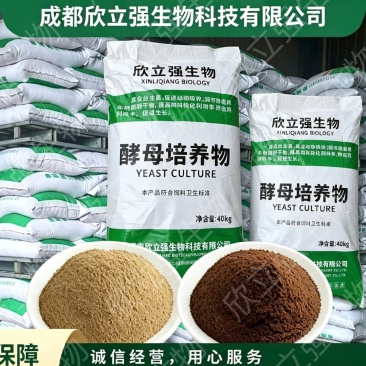 酿酒酵母培养物醋糟粉菌渣粉酒糟粉发酵干白酒糟粉