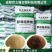 酿酒酵母培养物醋糟粉菌渣粉酒糟粉发酵干白酒糟粉
