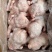十公斤8只西装鸡