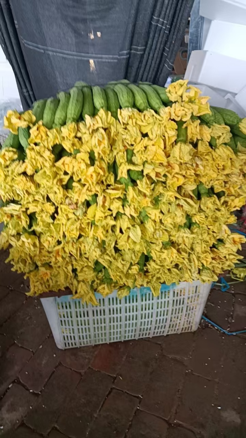 丝瓜
