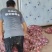 通许冷库洋葱开始出库质量好有需求的老板联系