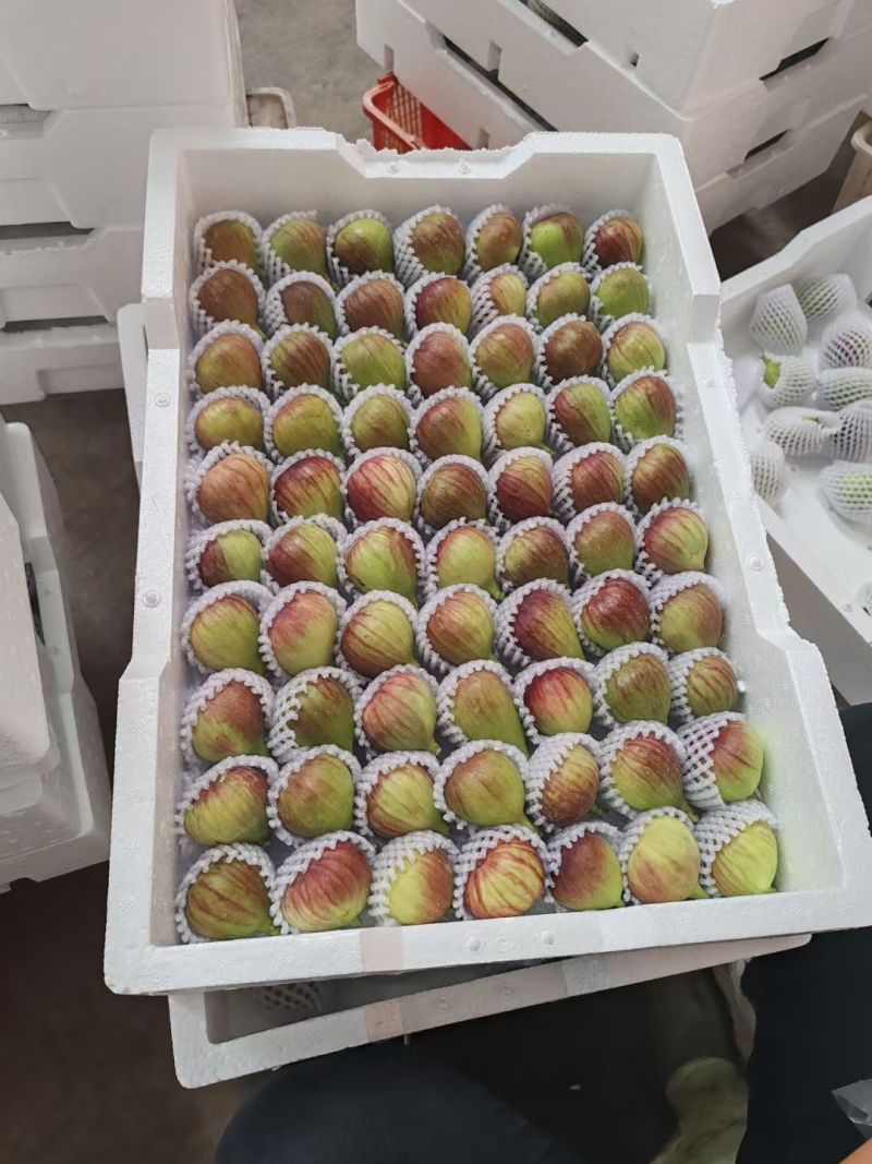 云南红皮无花果现摘波姬红软糯香甜当季孕妇水果批发