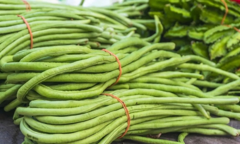 山西架豆王豆角大量上市品质保证诚信经营欢迎选购