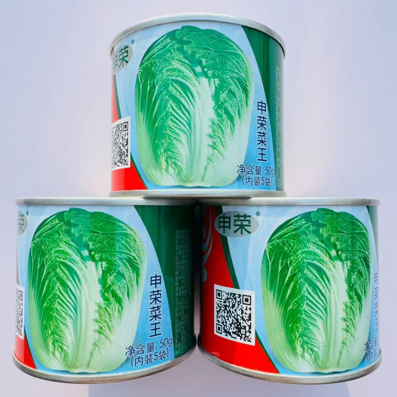 申荣菜王大白菜种子青研87114大白菜种籽中晚熟杂交白菜