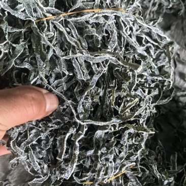 海带丝干海带丝干海带半干海带头，
