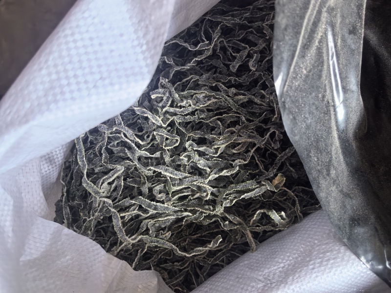 海带丝干海带丝干海带半干海带头，